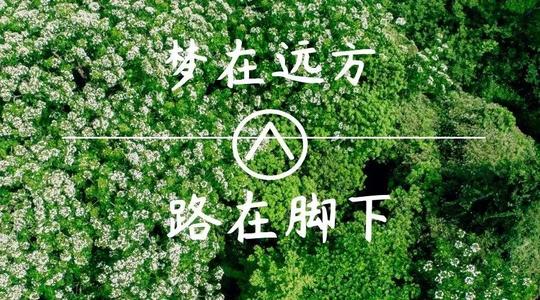 上?？婆d儀器
